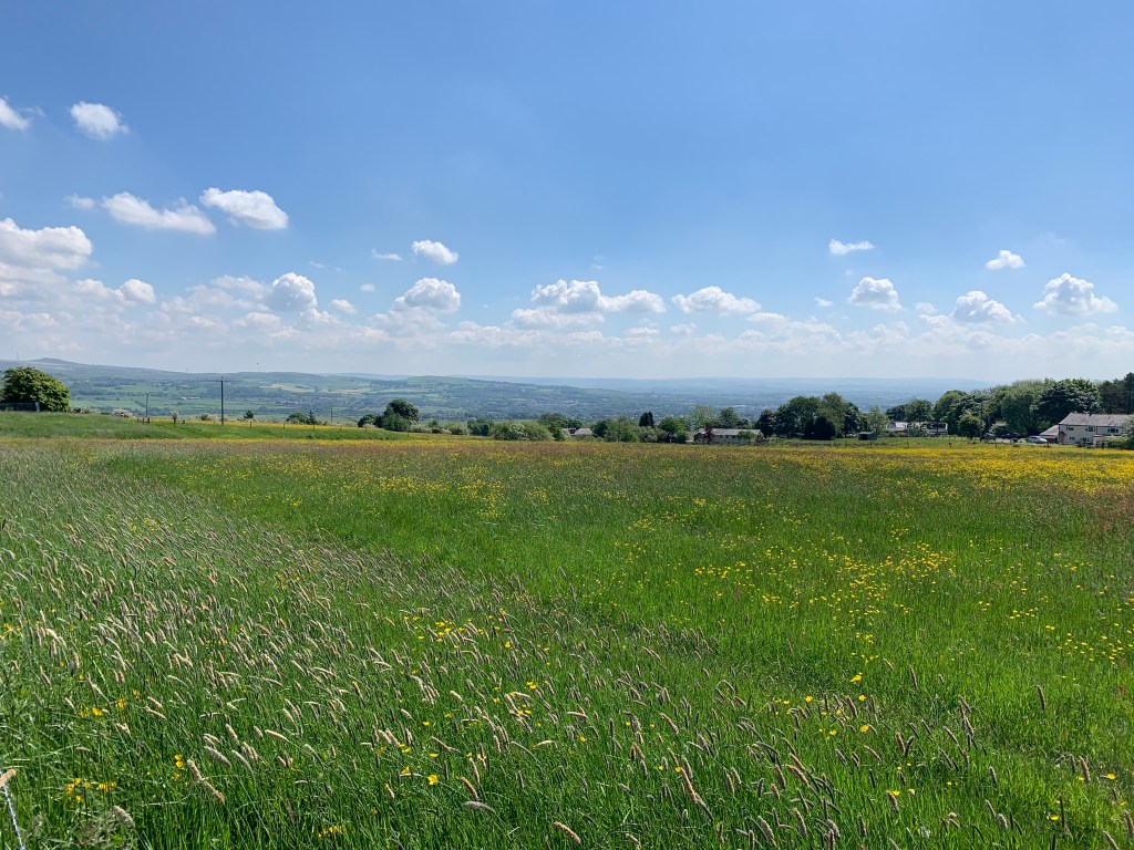A country walk with 3 pubs in Greater&nbsp;Manchester