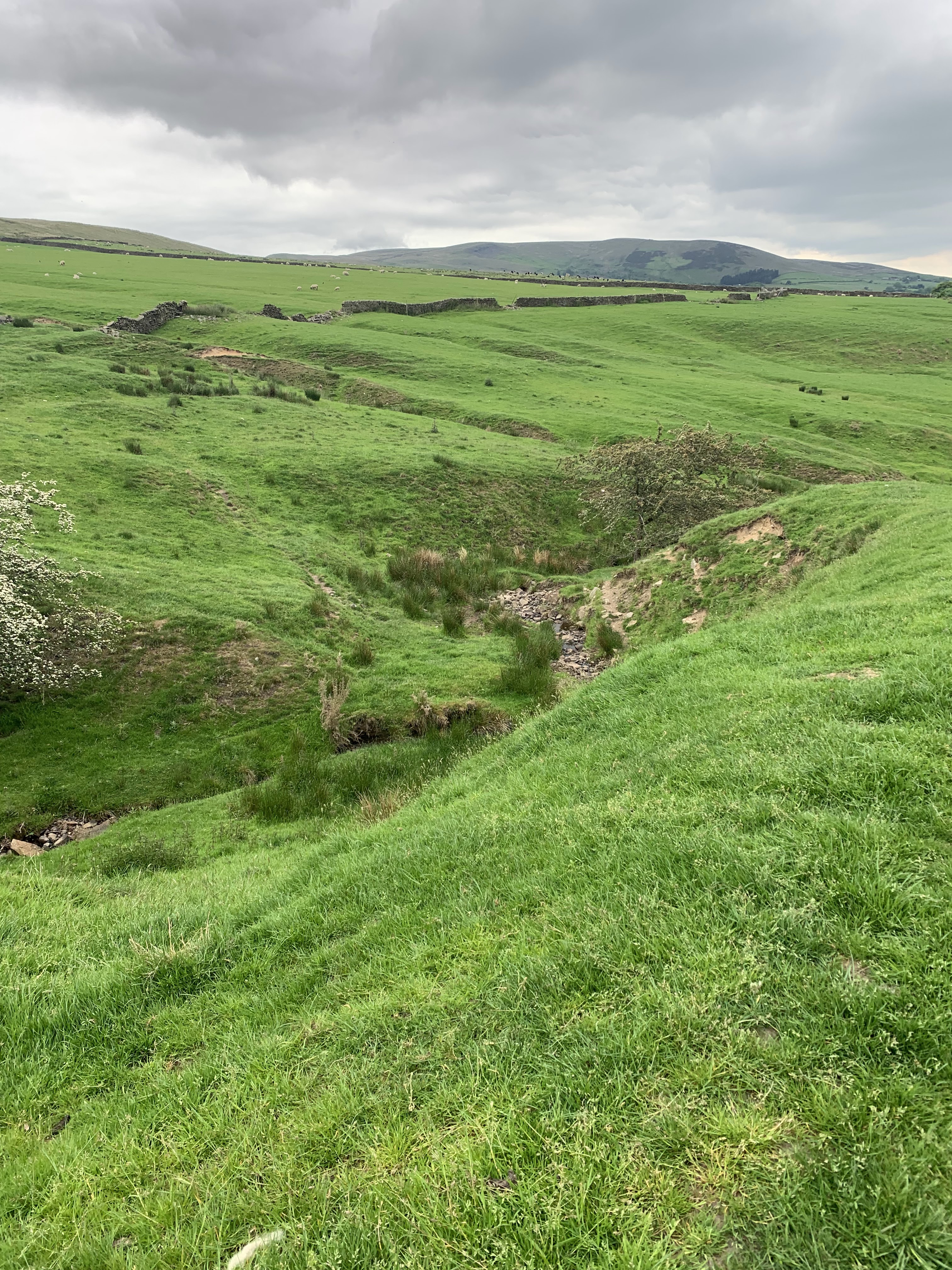 Lancashire walk taking in the Nick O'Pendle with lunch and pubs. The White Hart in Sadden, the Freemasons Arms in Wiswell and the Hare and Hounds in Whalley