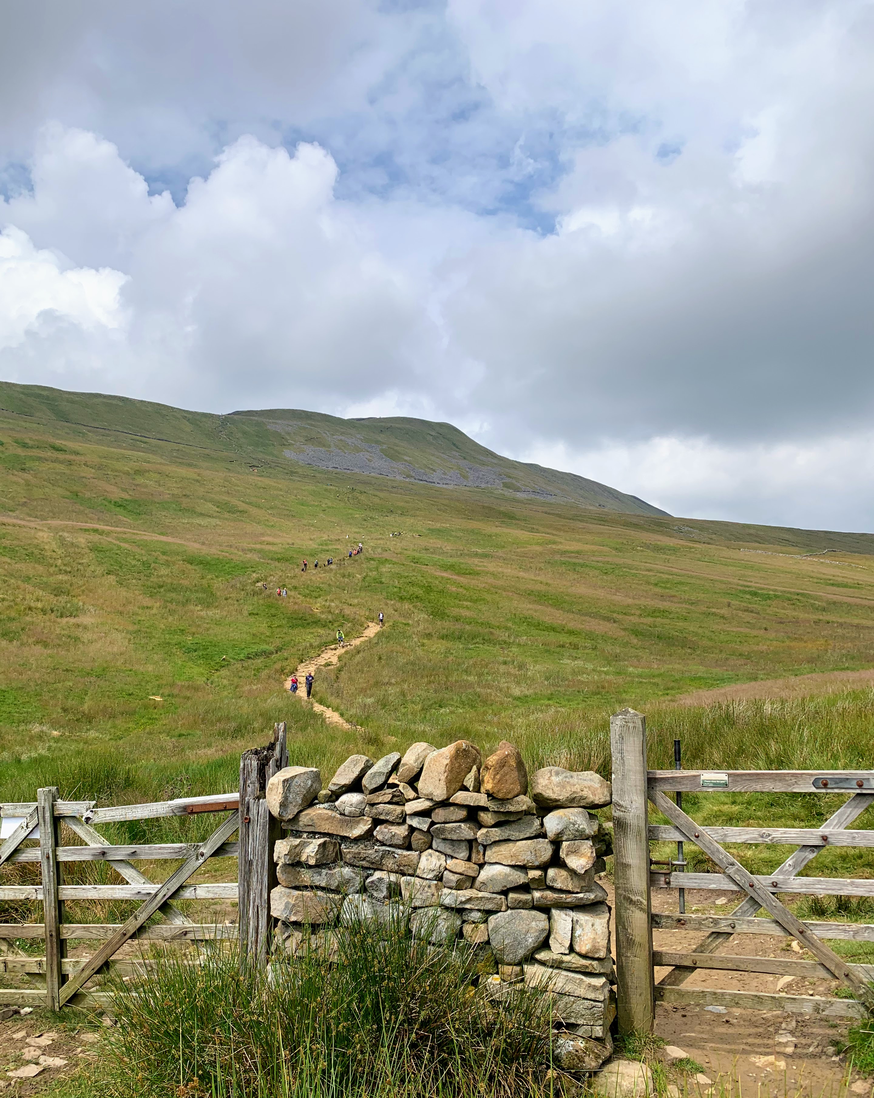 Whernside in the Yorkshire Dales is one of the Yorkshire Three Peaks. Although the highest of the three, I find it the easiest to climb. And a perfect introduction fell-walking. If you are not ready for the full challenge in one go, simply want a hike under 10 miles or make a week-end of it; Ingleborough is close to accomodations for Whernside. You could do one of each on separate days.