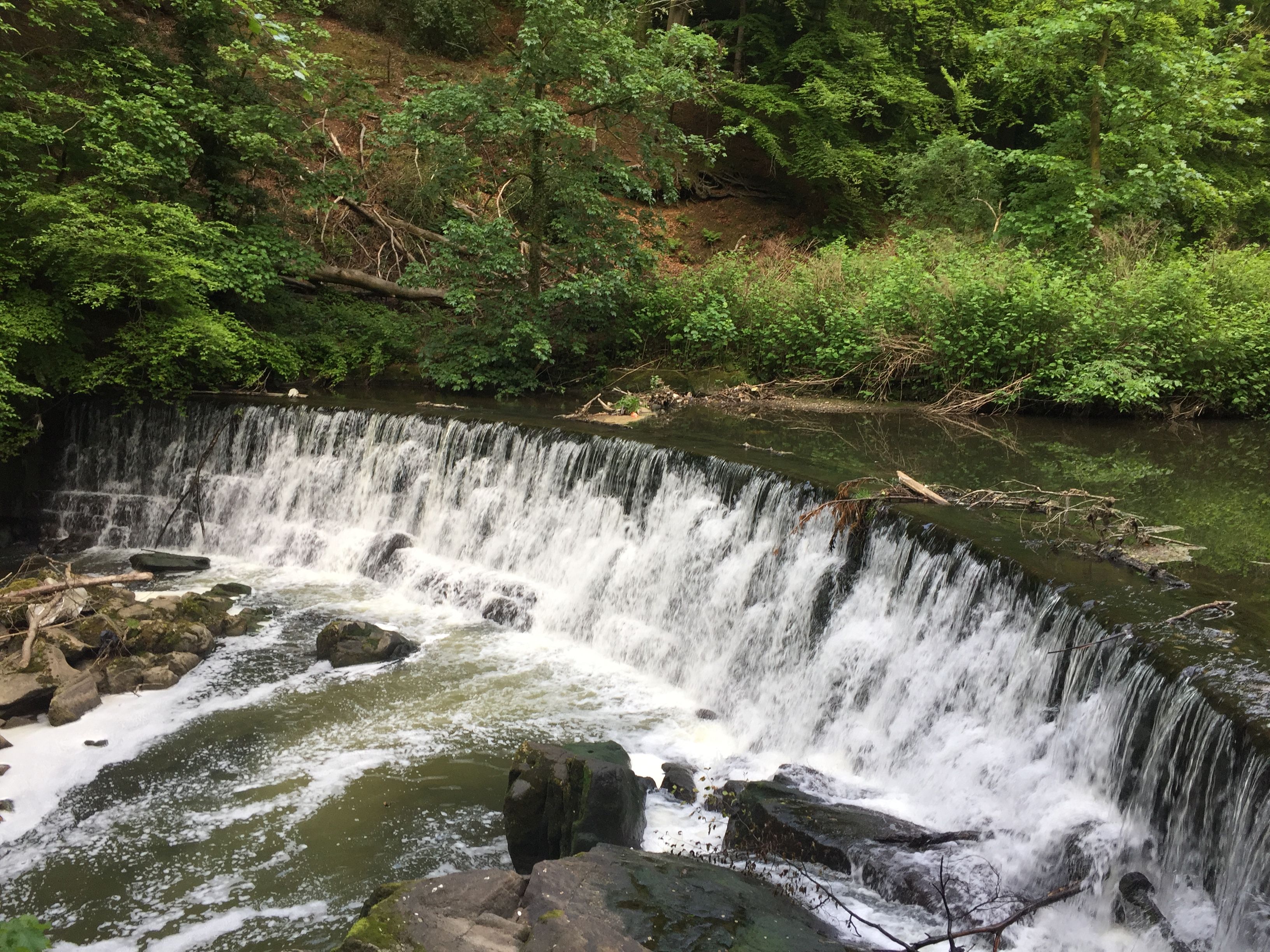 An easy walk under 7 miles. Can be completed in the evening in summer. Starts at Witton Park in Blackburn, takes in 2 pubs and the impressive Hoghton Bottoms waterfall.