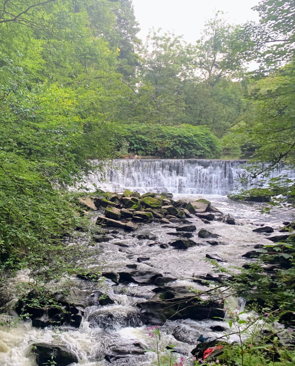 An evening walk from Witton Park to Hoghton Bottoms with 2&nbsp;pubs