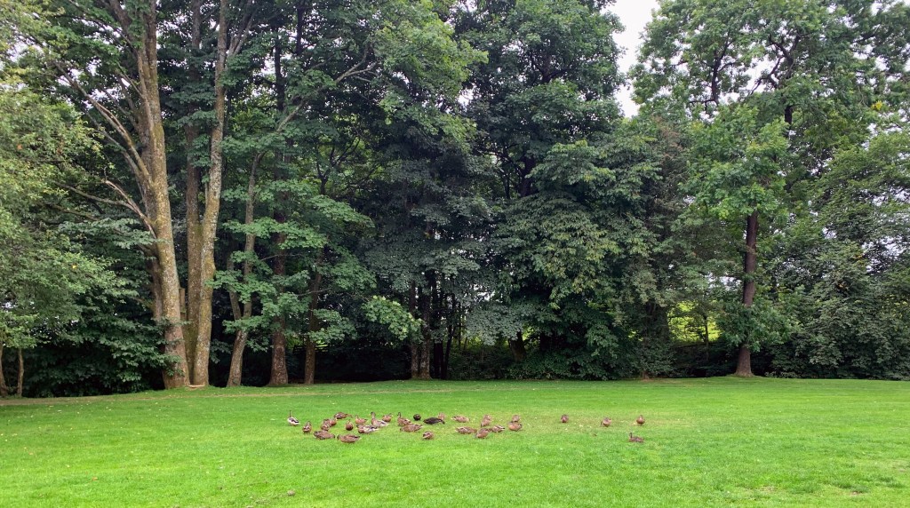 Forest of Bowland: 10 miles from Dunsop Bridge with a cafe and my favourite Inn in the&nbsp;area