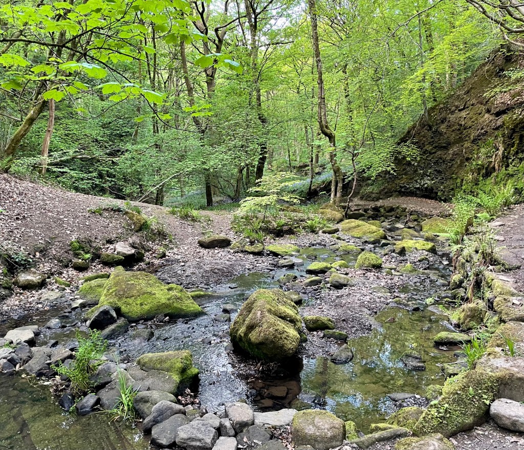 Morton Wood, nestled near Hepworth in the Holme Valley, is an enchanting woodland and gorge. The bluebells carpeted the grass when we visited in early May.
The woodland stretches along a brook, with footpaths that often criss‑cross the water via stepping‑stones or small wooden bridges, offering a sense of being deeply immersed in nature. Click on this image to open the full route on Komoot